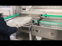 Automatisches Auflösungssystem für Viskositätsverbesserungen ISO 3A-Zertifikat